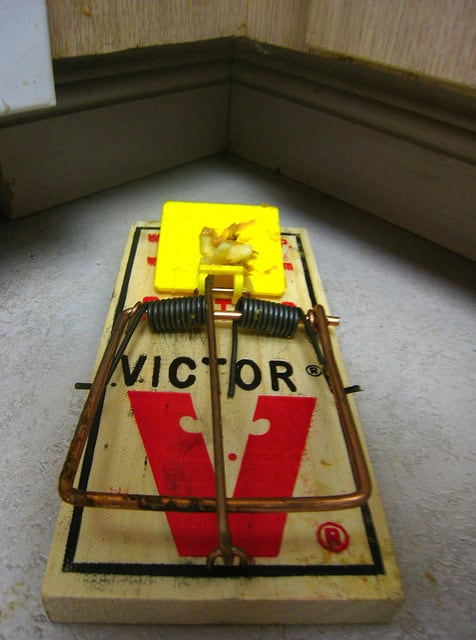 Inventors Month Who Invented the Mouse Trap? - HomeTeam Pest Defense